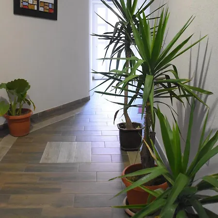 Botanika Apartment